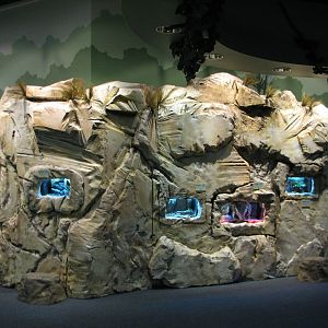 Conservation Center - Terrariums