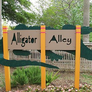 Alligator Alley - Sign