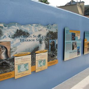 Rocky Point Preserve - California Sea Lion and Harbor Seal Exhibit