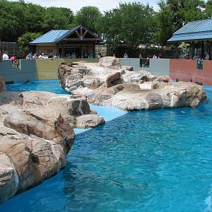 Rocky Point Preserve - California Sea Lion and Harbor Seal Exhibit