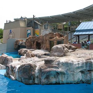 Rocky Point Preserve - California Sea Lion and Harbor Seal Exhibit
