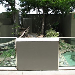 Rocky Point Preserve - Asian Small-clawed Otter Exhibit