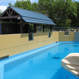 Rocky Point Preserve - Hawaiian Monk Seal Exhibit