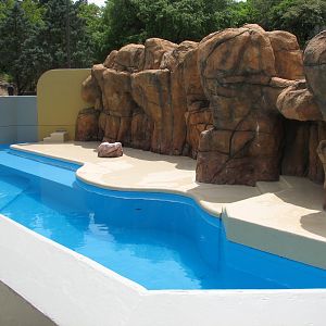 Rocky Point Preserve - Hawaiian Monk Seal Exhibit