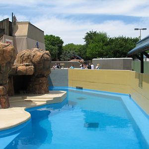 Rocky Point Preserve - Hawaiian Monk Seal Exhibit