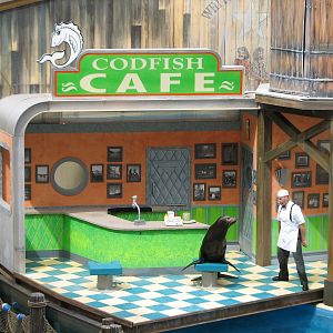 Sea Lion Stadium - The Cannery Row Caper