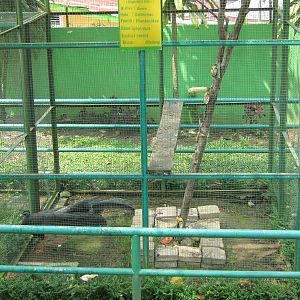 typical example of pheasant aviary