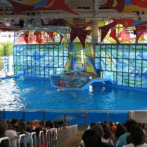 Beluga Stadium - Azul