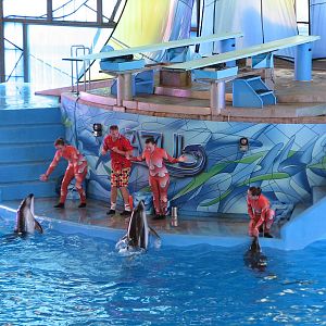 Beluga Stadium - Azul