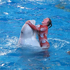 Beluga Stadium - Azul