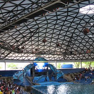 Shamu Theater - Believe!