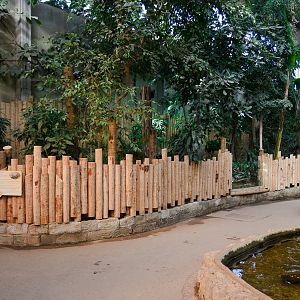 Tropical Realm - 21/04/2010