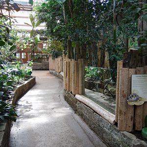 Tropical Realm - 21/04/2010