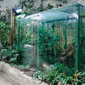 Tropical Realm - 21/04/2010