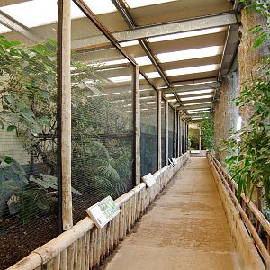 Tropical Realm - 21/04/2010