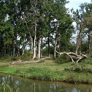 La Vallée des Singes - Gorilla island