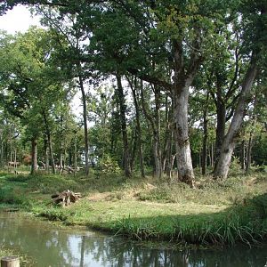 La Vallée des Singes - Gorilla island
