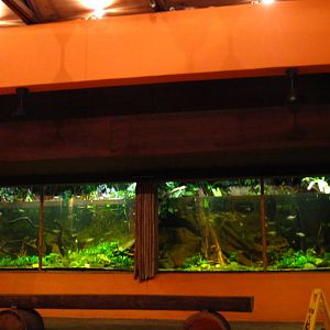 East Lodge - Indian Biotope exhibit
