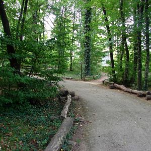 La Vallée des singes - Lemurs walk-through exhibit