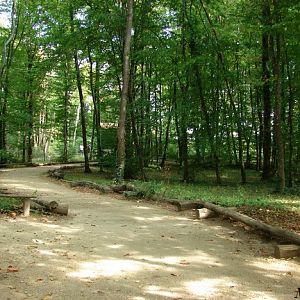 La Vallée des singes - Lemurs walk-through exhibit