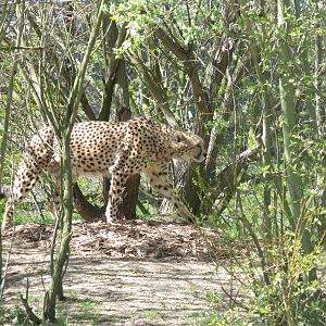 Colchester Zoo 22nd April 2010