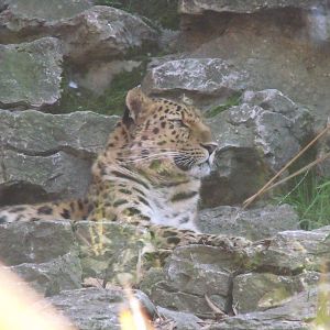 Colchester Zoo 22nd April 2010