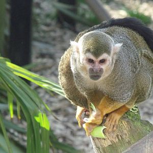 Colchester Zoo 22nd April 2010