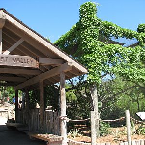 Africas Rift Valley - Entrance and Crowned Hornbill Exhibit