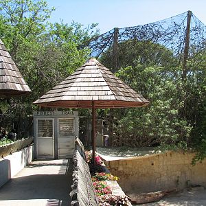 Africas Rift Valley - Forest Trail Aviary Entrance