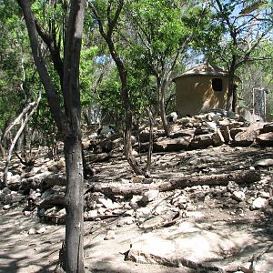 Africas Rift Valley - Forest Trail Aviary
