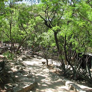 Africas Rift Valley - African Thicket Aviary