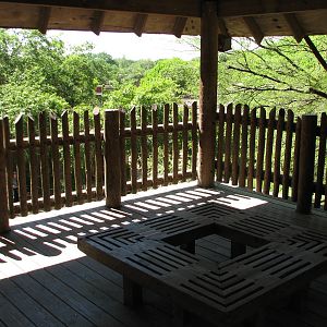 Africas Rift Valley - Treetop Lookout