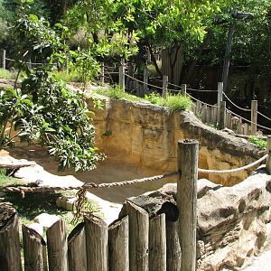 Africas Rift Valley - Kirks Dik-dik Exhibit