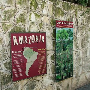 Amazonia - Anaconda Exhibit House Exterior