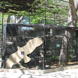 Amazonia - Andean Condor and Seriema Exhibits