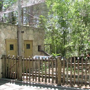 Amazonia - Ocelot Exhibit