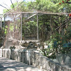 Amazonia - Aviary Exterior and Jaguar Exhibit beyond