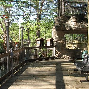 Amazonia - Aviary Interior