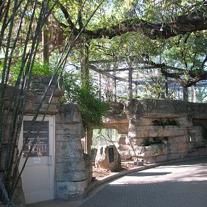 Amazonia - Aviary Entrance and Jaguar Exhibit beyond