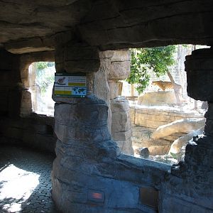 Amazonia - Jaguar Exhibit Viewing Cave