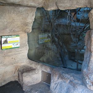 Cat Grotto - Northern Tree Shrew Exhibit