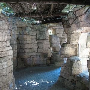 Cat Grotto - Visitor Passageway