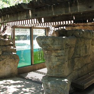 Coscoroba Swan Exhibit - Underwater Viewing Area