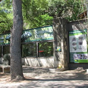 Komodo Dragon Exhibit