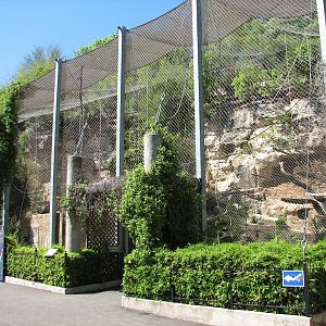 White-cheeked Gibbon, Reeves Muntjac, and Asian Small-clawed Otter Exhibit
