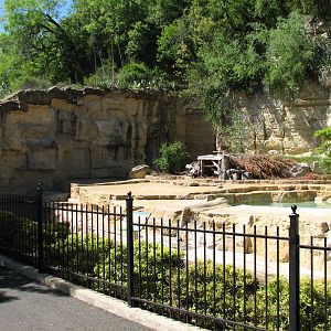Grizzly Bear Exhibit