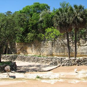African Savanna Exhibit