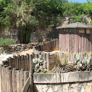 African Savanna Exhibit