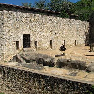 Sumatran Tiger Exhibit