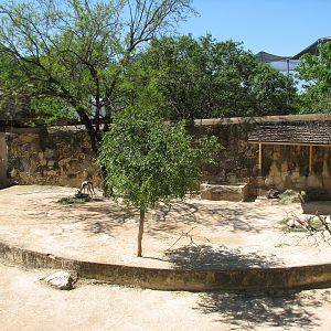 Spekes Gazelle Exhibit
